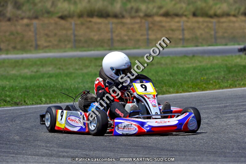 DSC_ (1456).jpg